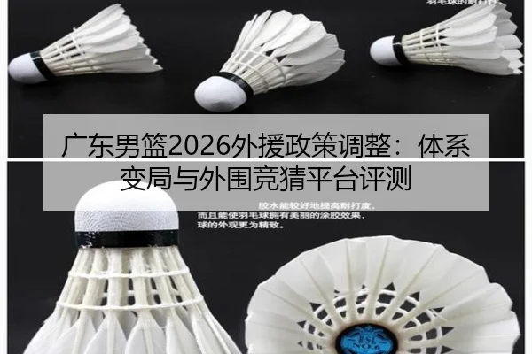 广东男篮2026外援政策调整：体系变局与外围竞猜平台评测